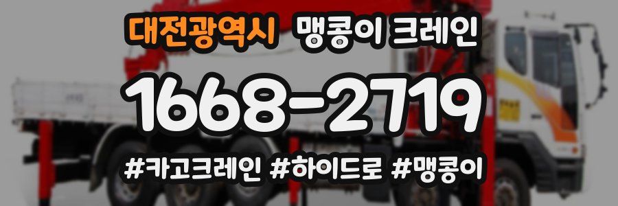 대전광역시 맹콩이 크레인