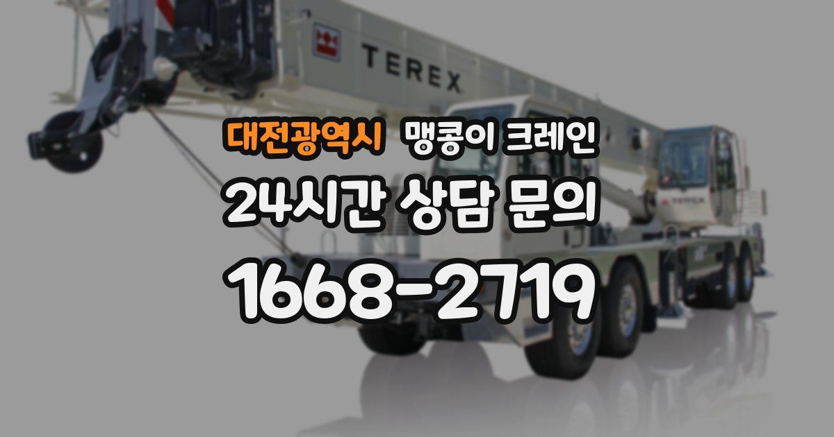 대전광역시 맹콩이 크레인