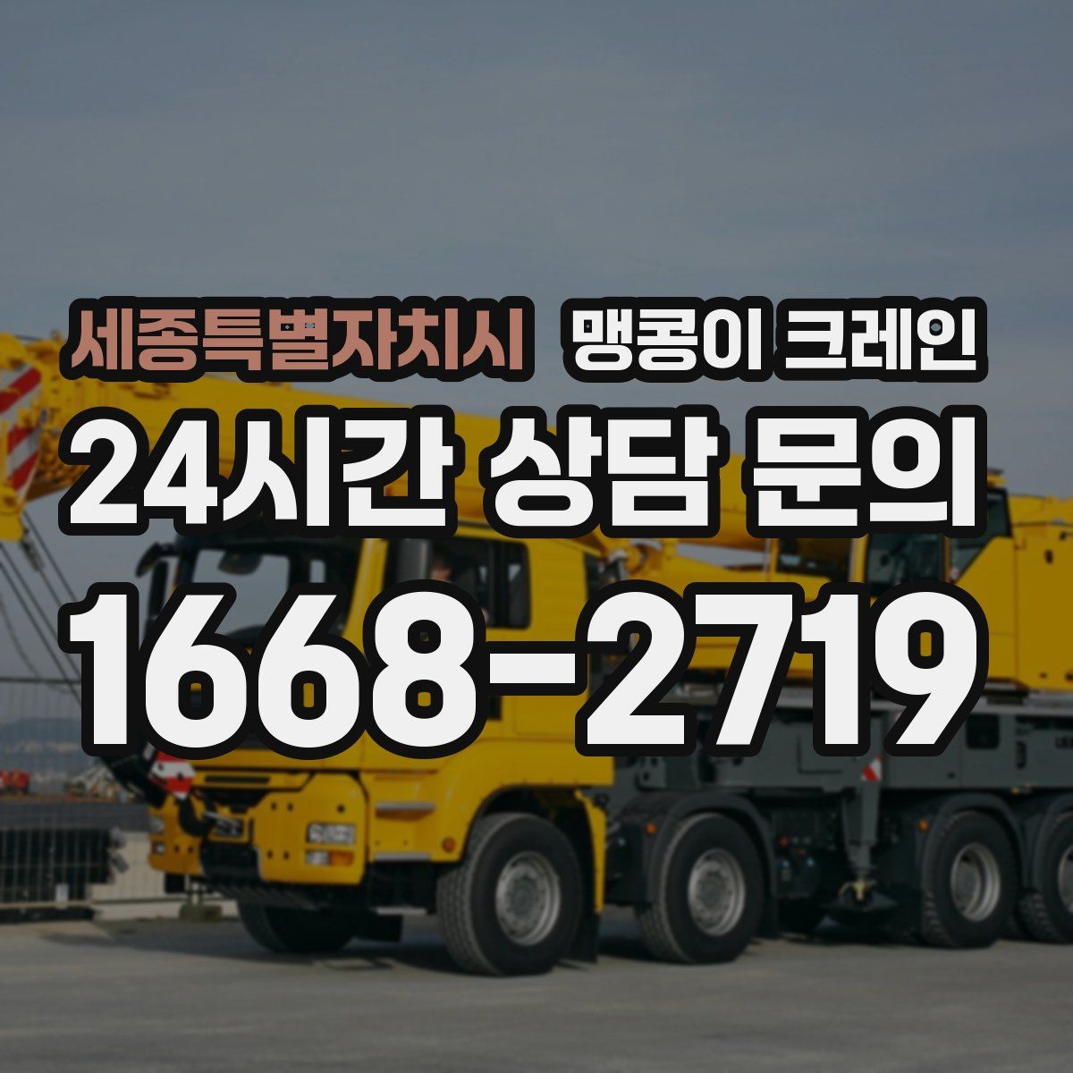 세종특별자치시 맹콩이 크레인