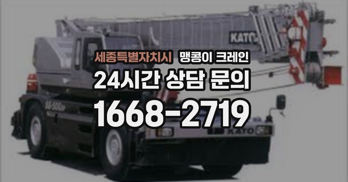 세종특별자치시 맹콩이 크레인