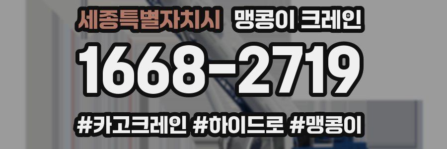 세종특별자치시 맹콩이 크레인