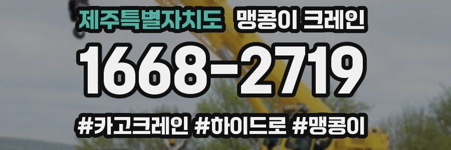 제주특별자치도 맹콩이 크레인