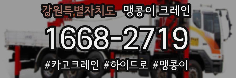 강원특별자치도 맹콩이 크레인