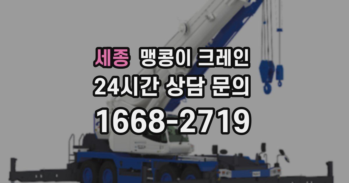 세종 맹콩이 크레인