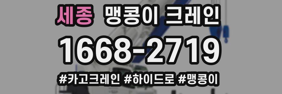 세종 맹콩이 크레인