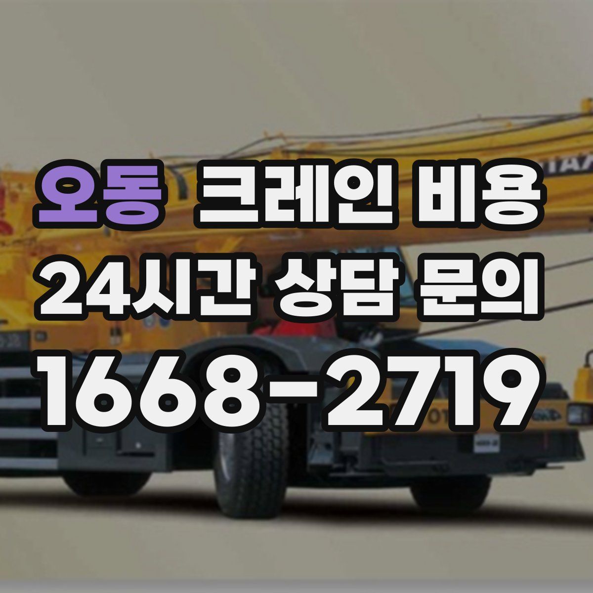 오동 크레인 비용