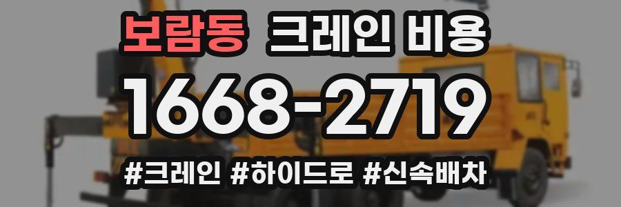 보람동 크레인 비용