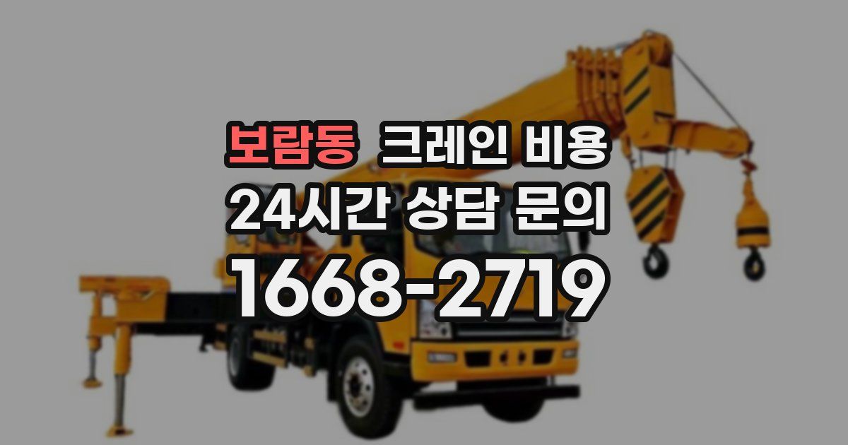 보람동 크레인 비용