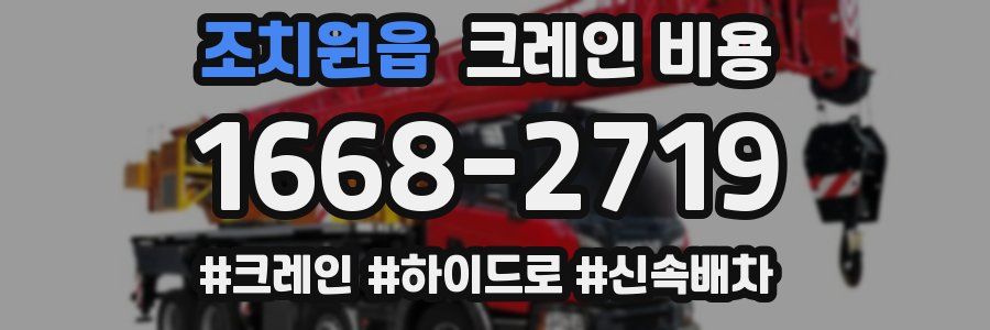 조치원읍 크레인 비용