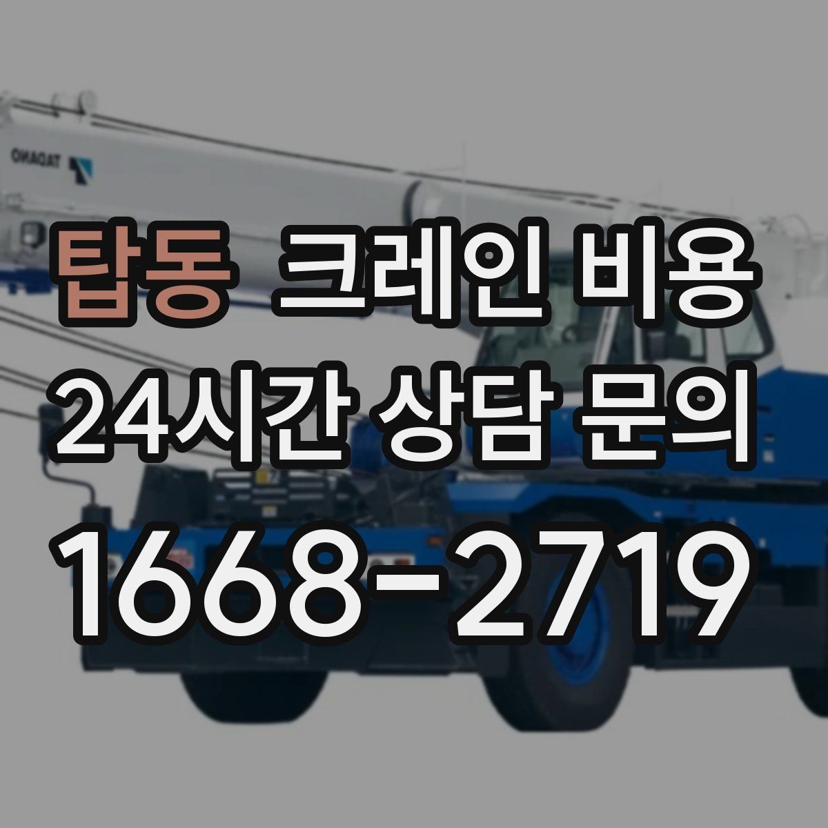 탑동 크레인 비용