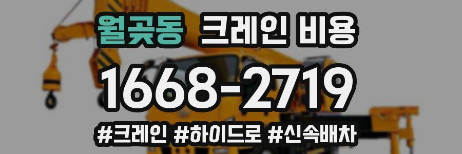 월곶동 크레인 비용