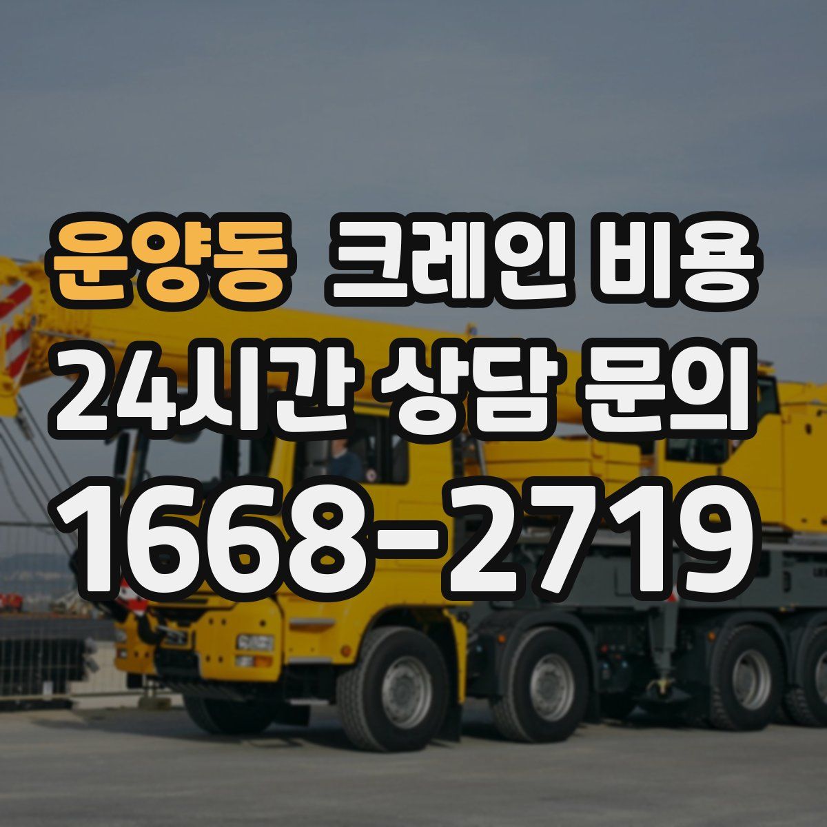 운양동 크레인 비용