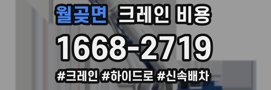 월곶면 크레인 비용