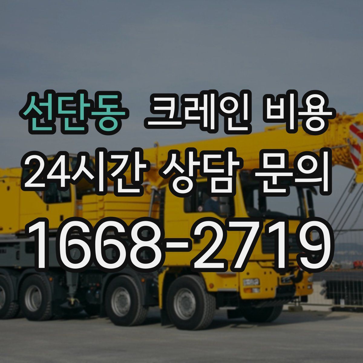 선단동 크레인 비용