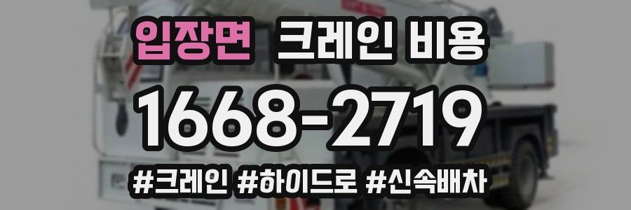 입장면 크레인 비용