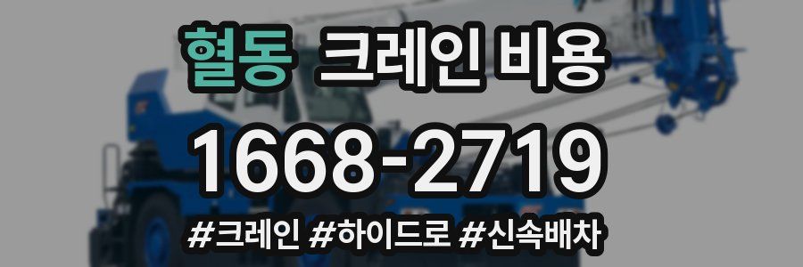 혈동 크레인 비용