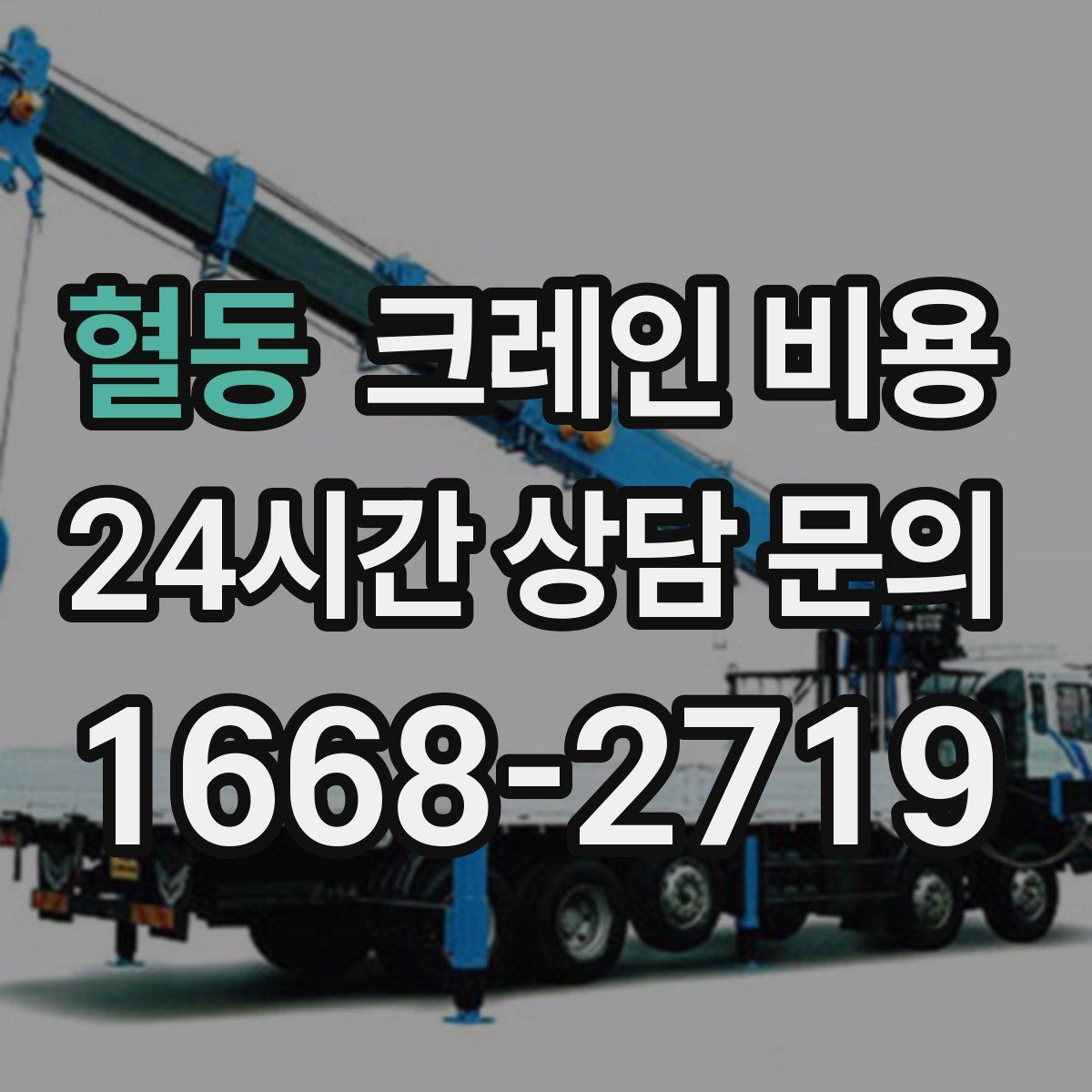 혈동 크레인 비용
