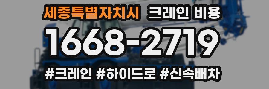 세종특별자치시 크레인 비용