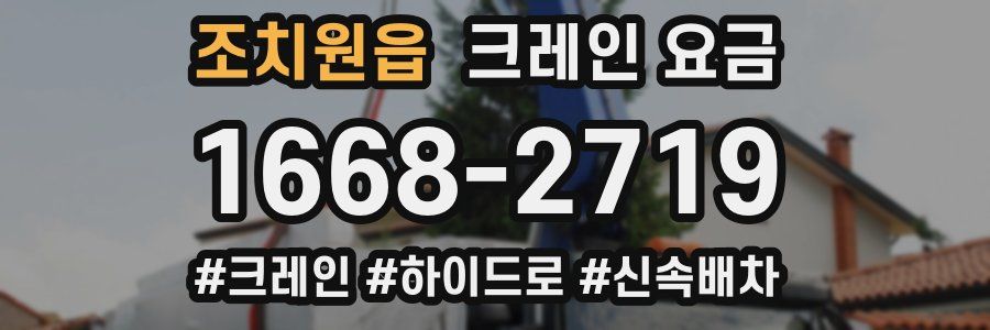 조치원읍 크레인 요금
