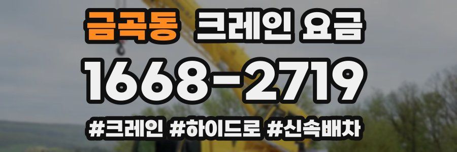 금곡동 크레인 요금