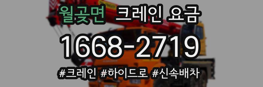 월곶면 크레인 요금