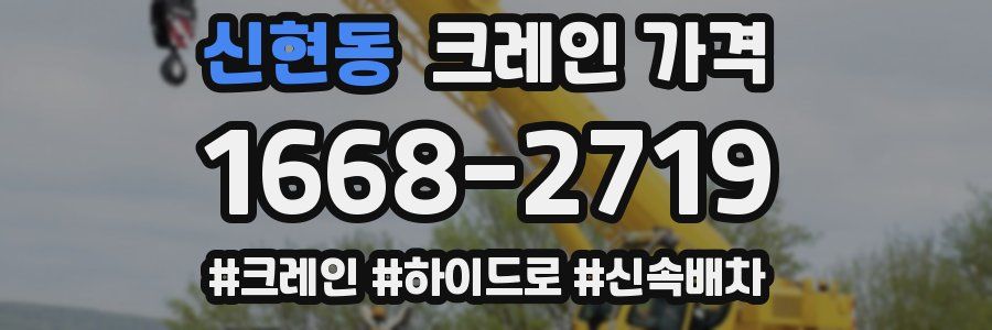 신현동 크레인 가격