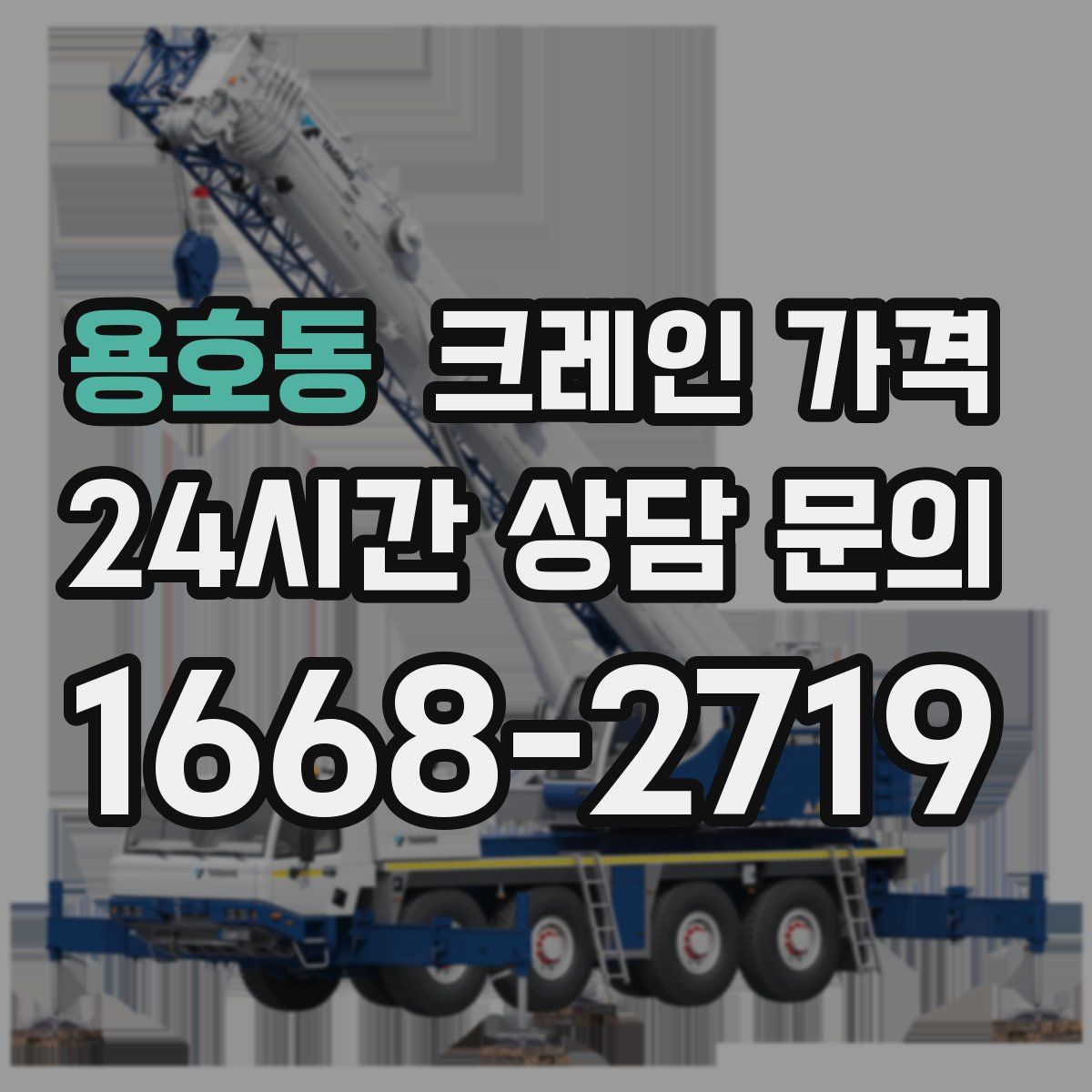 용호동 크레인 가격