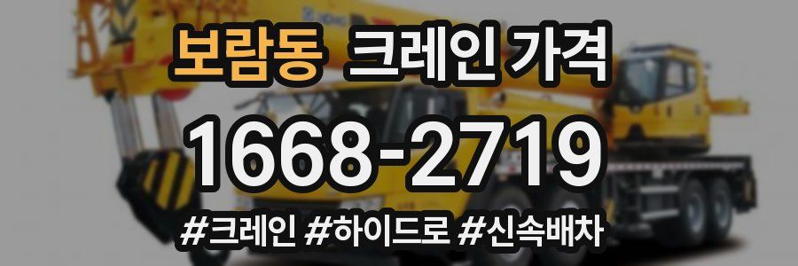 보람동 크레인 가격