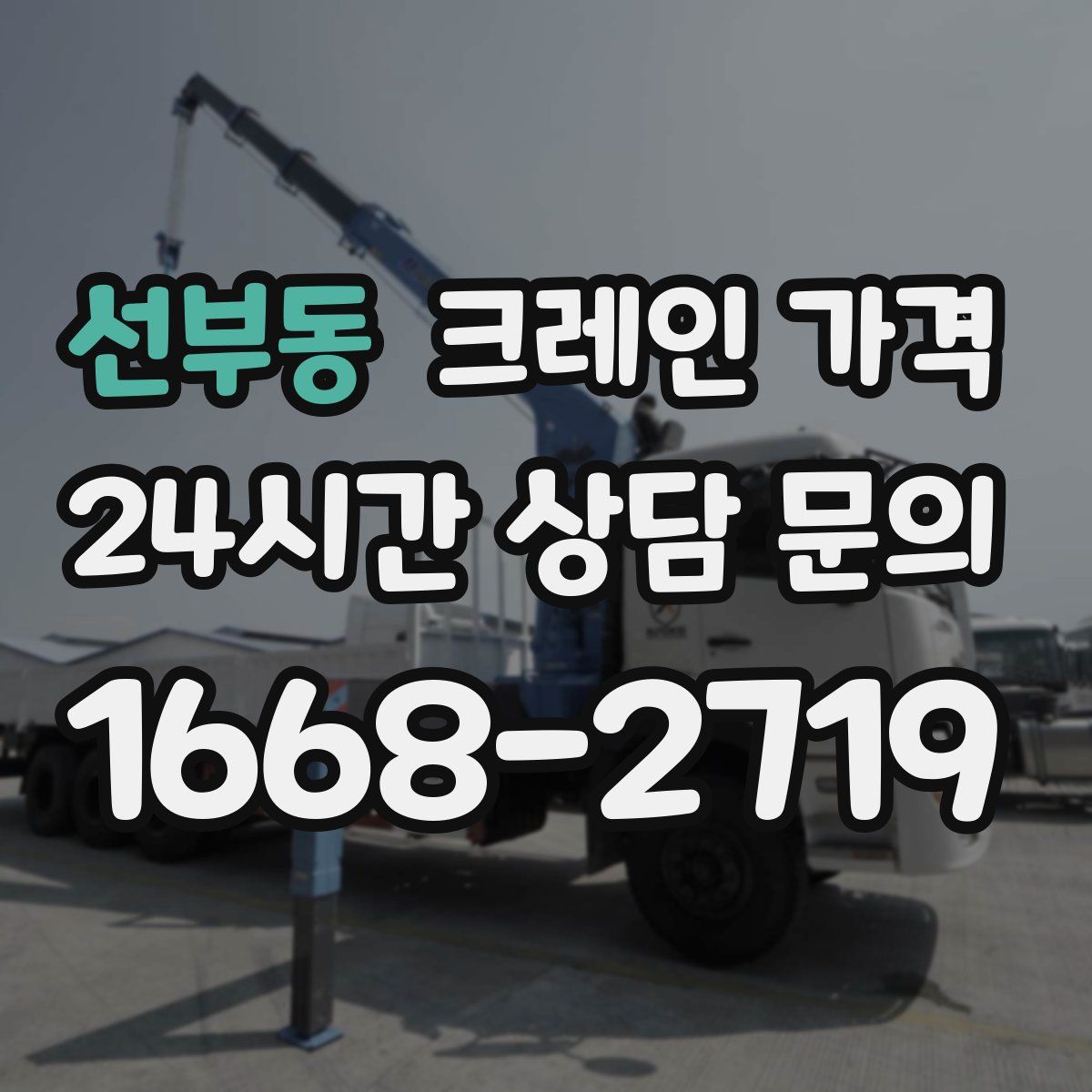선부동 크레인 가격