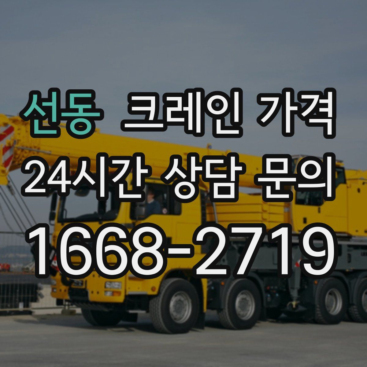 선동 크레인 가격