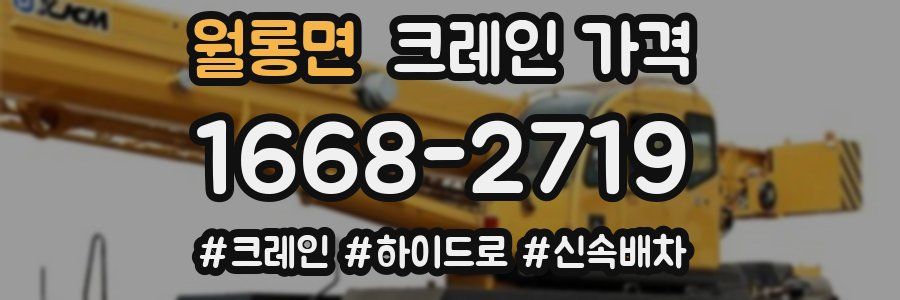 월롱면 크레인 가격
