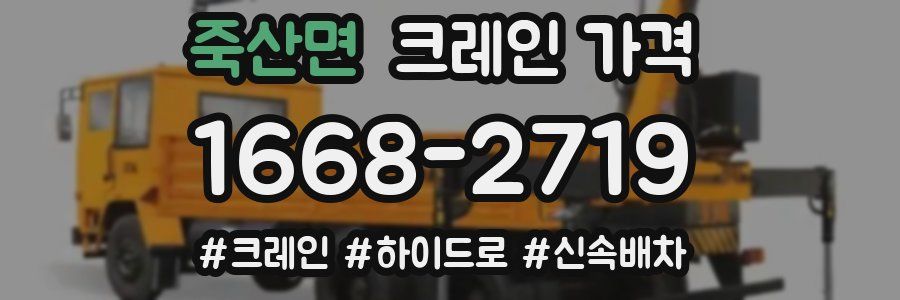 죽산면 크레인 가격