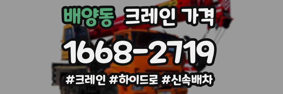 배양동 크레인 가격