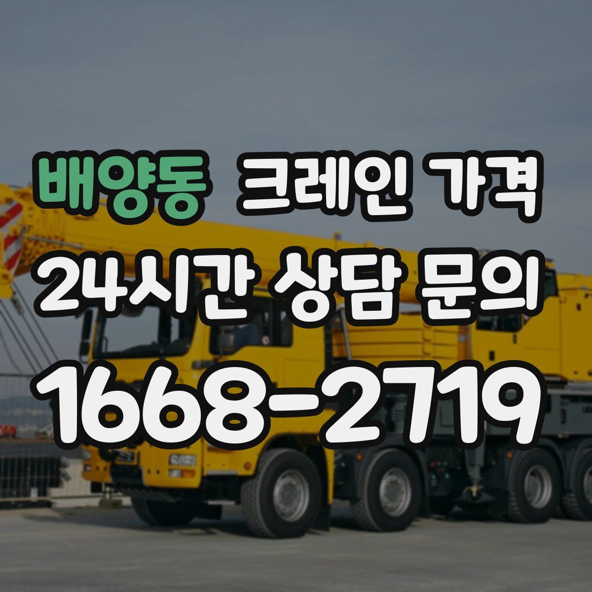배양동 크레인 가격
