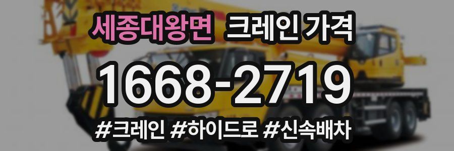 세종대왕면 크레인 가격