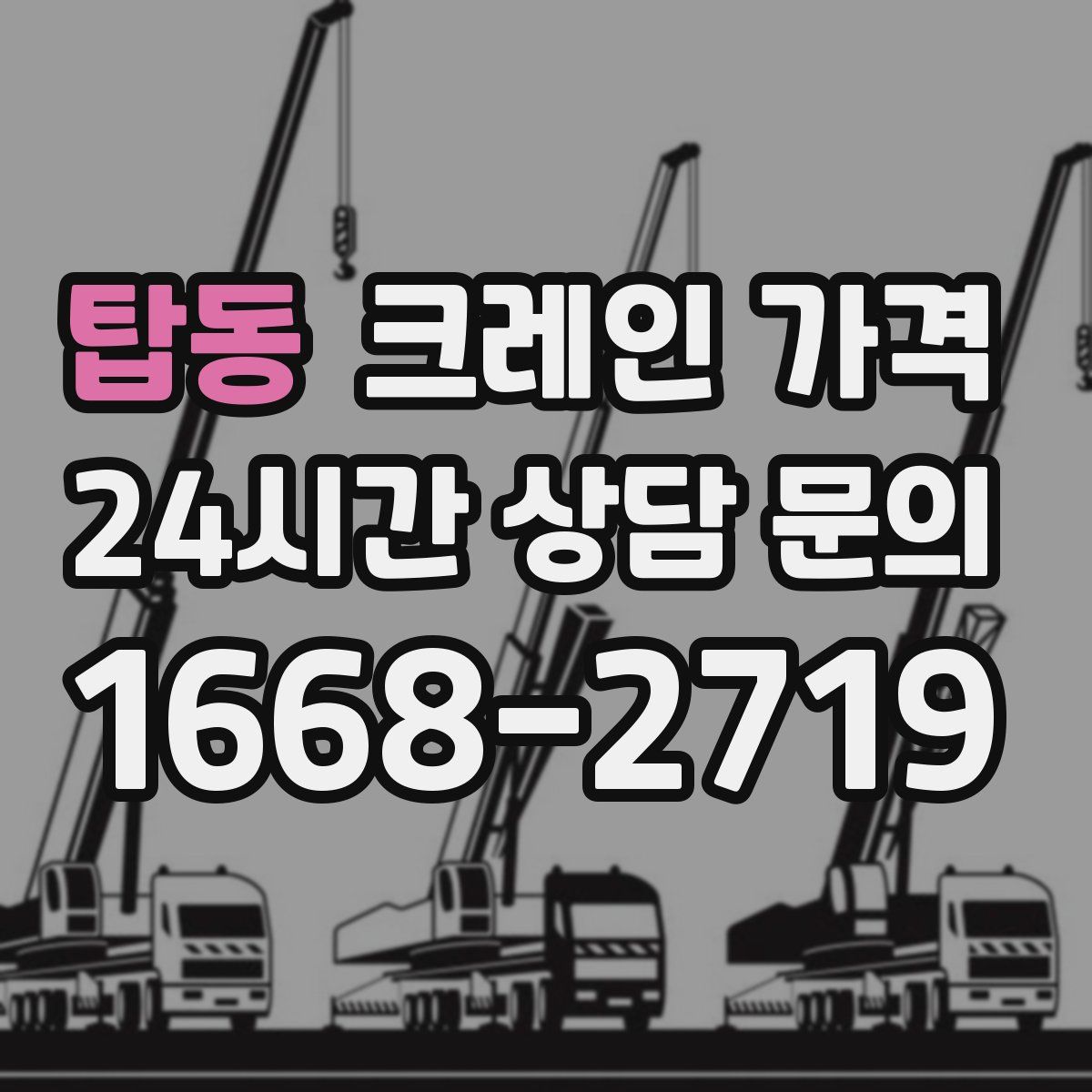 탑동 크레인 가격