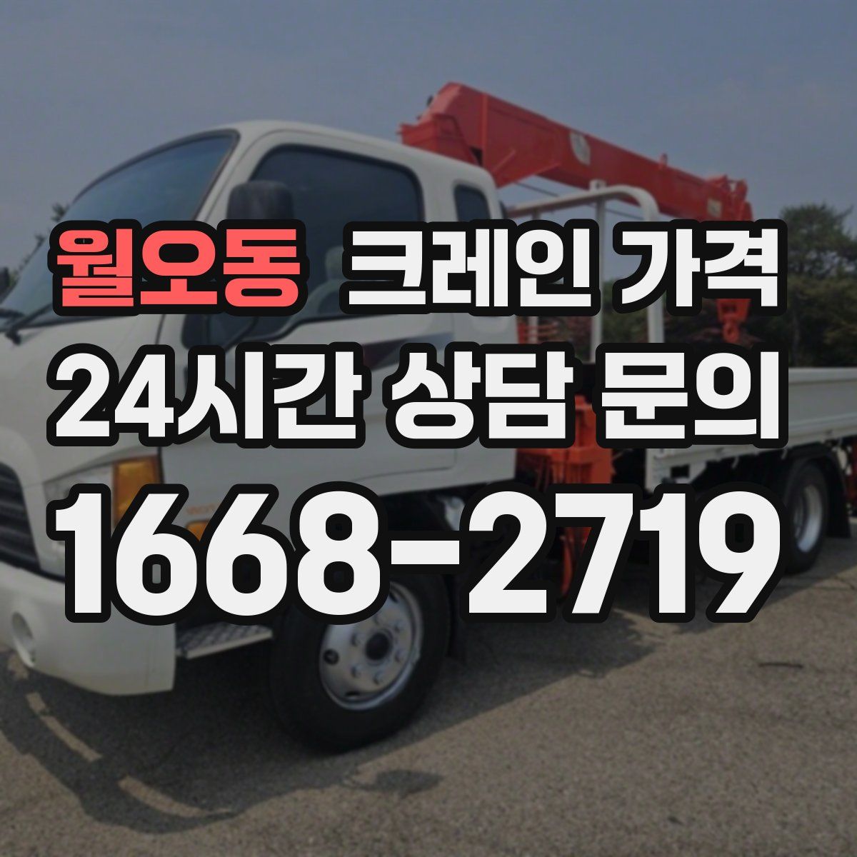 월오동 크레인 가격