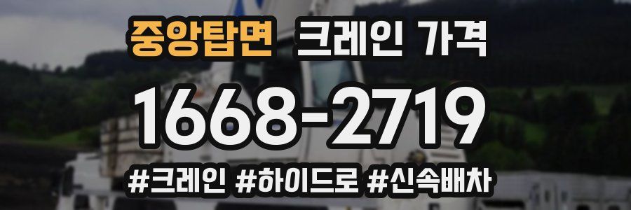 중앙탑면 크레인 가격