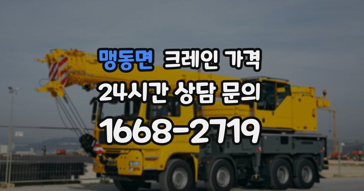 맹동면 크레인 가격