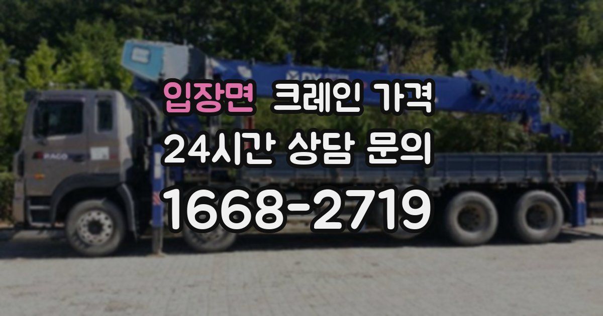 입장면 크레인 가격