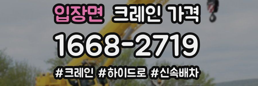 입장면 크레인 가격