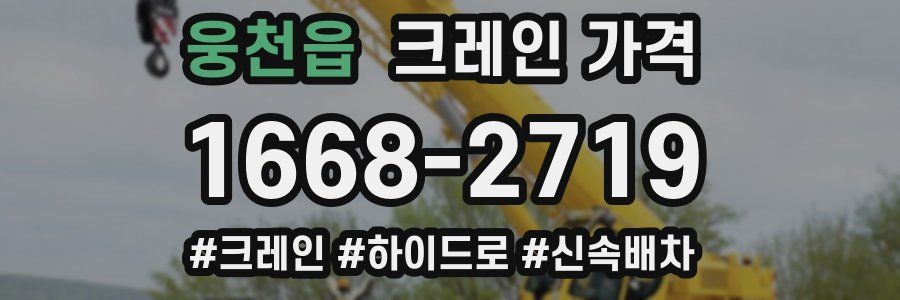 웅천읍 크레인 가격