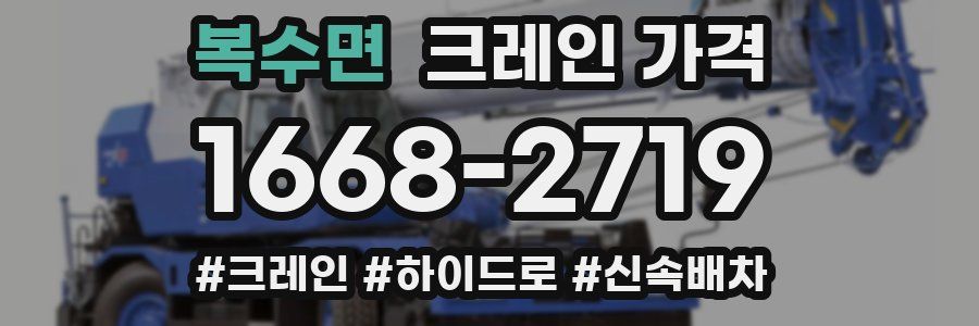 복수면 크레인 가격