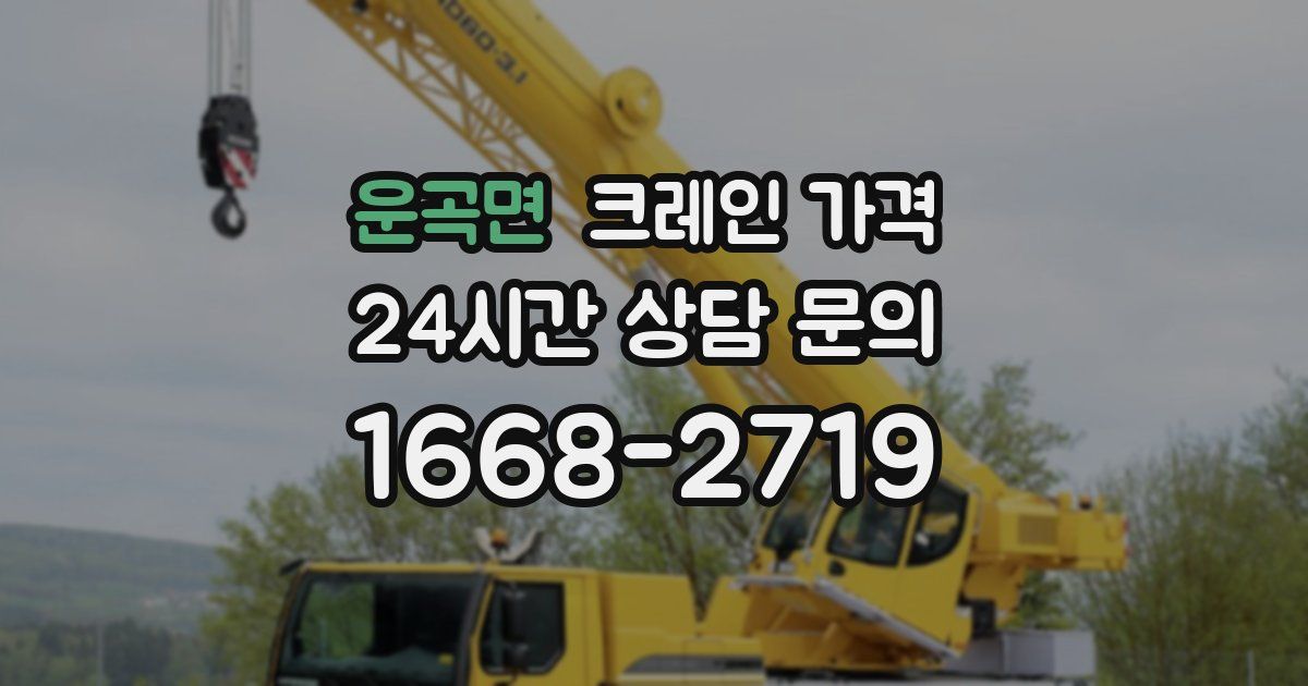 운곡면 크레인 가격
