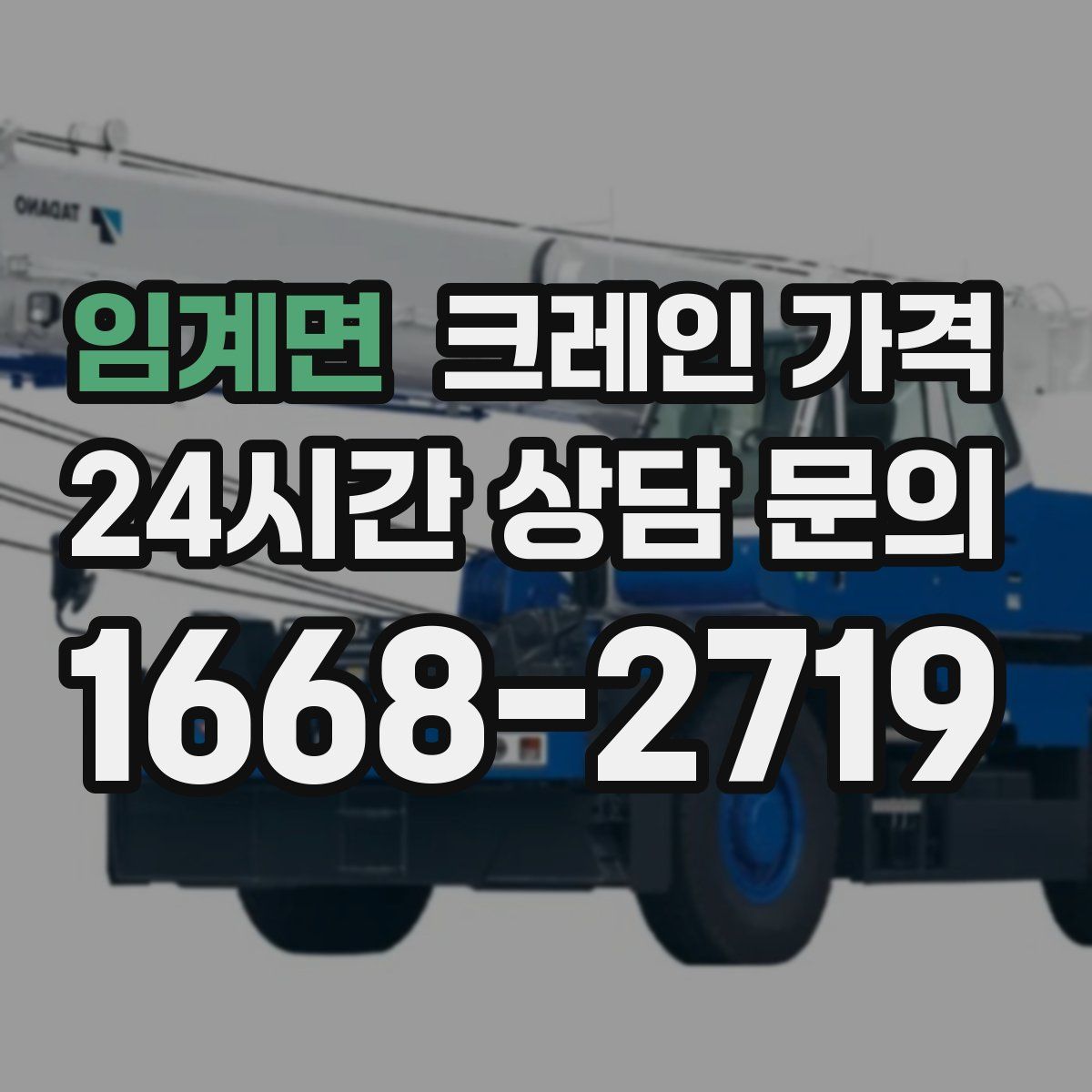 임계면 크레인 가격