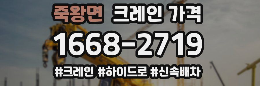 죽왕면 크레인 가격