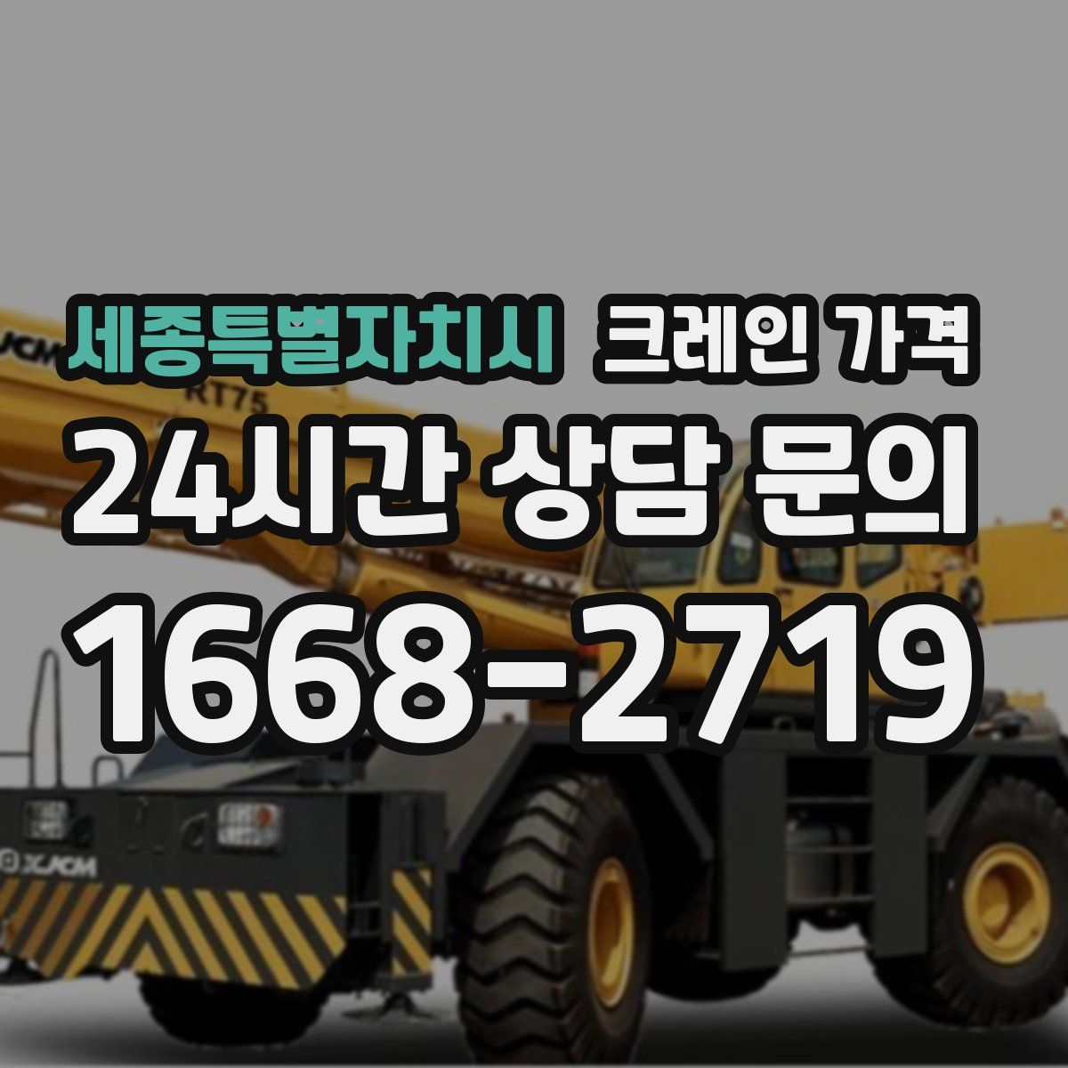 세종특별자치시 크레인 가격