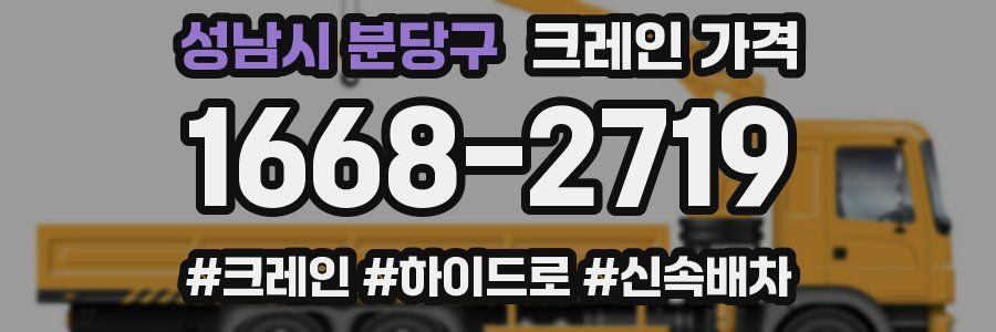 성남시 분당구 크레인 가격