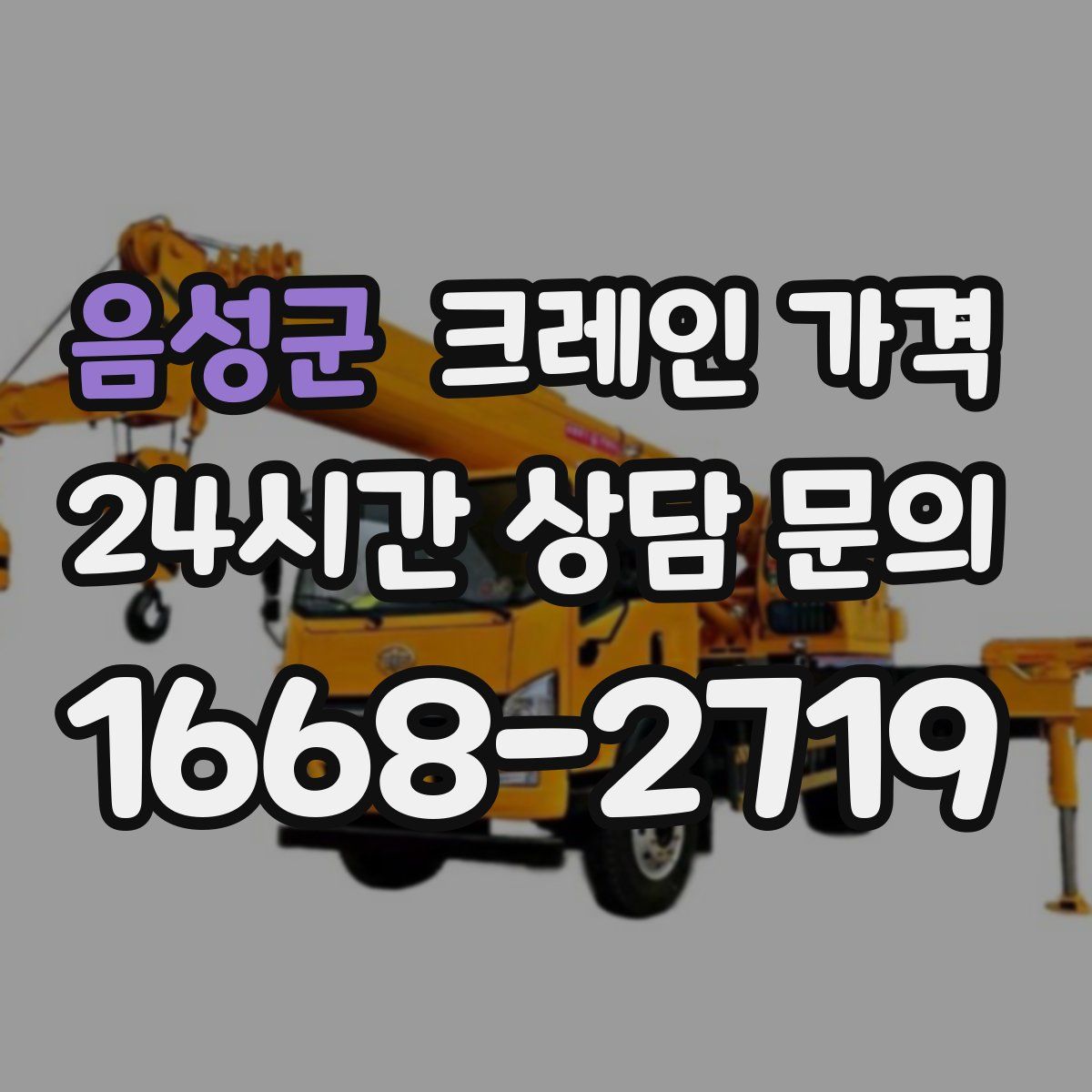 음성군 크레인 가격