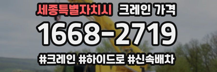 세종특별자치시 크레인 가격